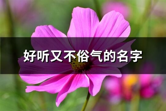 好聽又不俗氣的名字(優選253個)