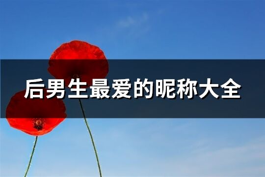 后男生最愛的昵稱大全(451個)