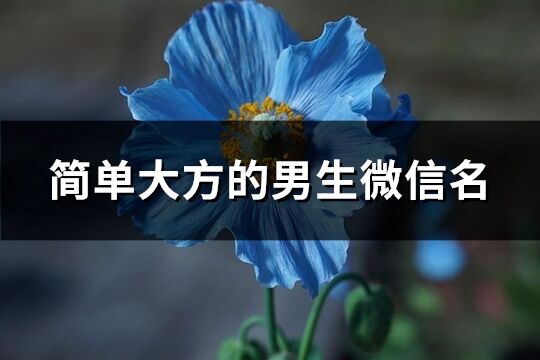 簡(jiǎn)單大方的男生微信名(優(yōu)選186個(gè))