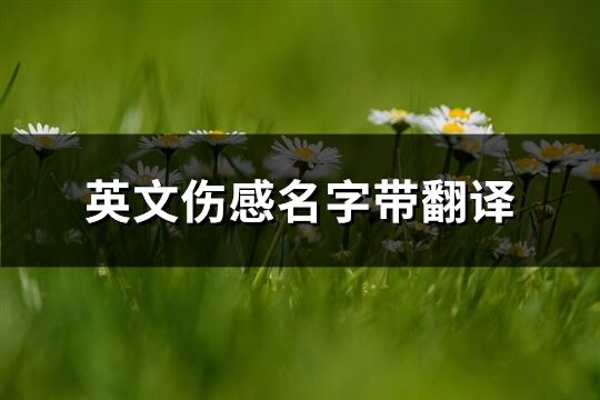 英文傷感名字帶翻譯(共102個)