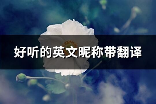 好聽的英文昵稱帶翻譯(優選196個)