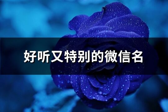 好聽又特別的微信名(精選381個)