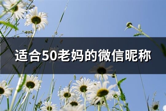 適合50老媽的微信昵稱(311個)