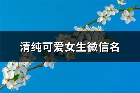 清純可愛女生微信名(優選453個)