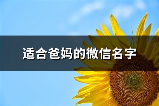 適合爸媽的微信名字(精選206個)