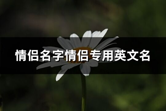 情侶名字情侶專(zhuān)用英文名(精選87個(gè))