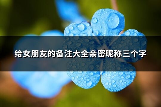 給女朋友的備注大全親密昵稱三個字(37個)