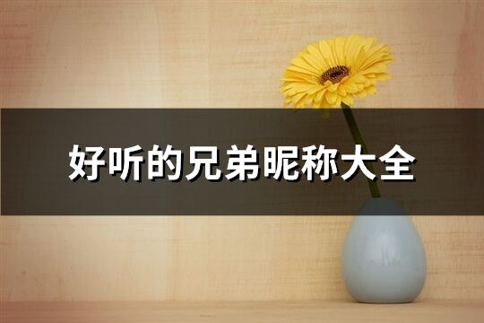 好聽的兄弟昵稱大全(共91個)