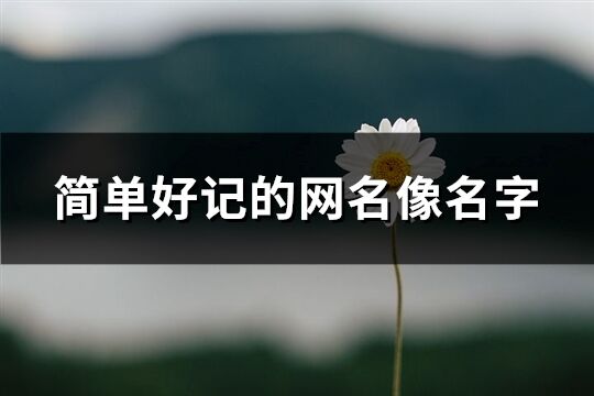 簡(jiǎn)單好記的網(wǎng)名像名字(精選312個(gè))