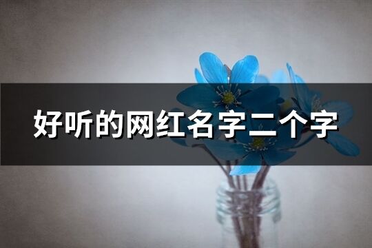 好聽的網紅名字二個字(共673個)