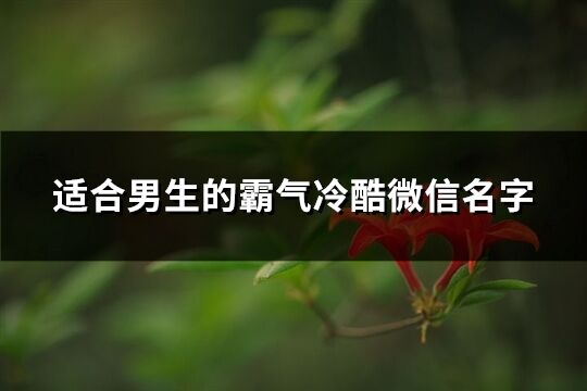 適合男生的霸氣冷酷微信名字(共336個)