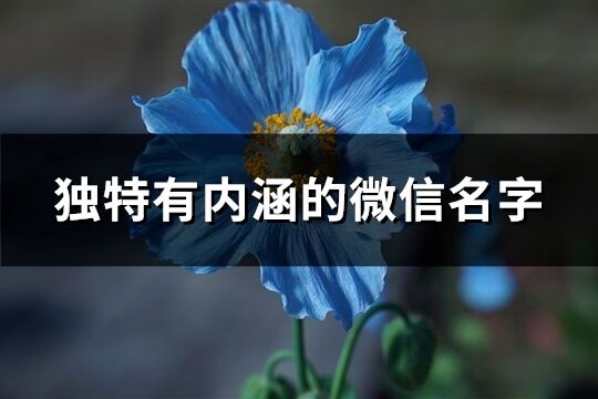 獨特有內涵的微信名字(優選276個)