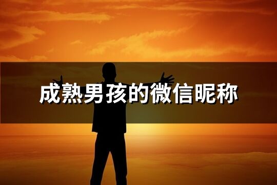 成熟男孩的微信昵稱(1179個)