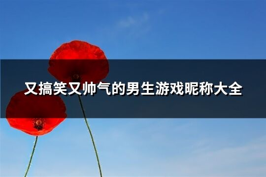 又搞笑又帥氣的男生游戲昵稱大全(優選463個)