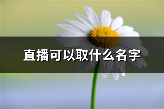 直播可以取什么名字(共93個)