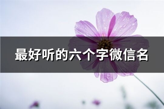 最好聽的六個字微信名(共264個)