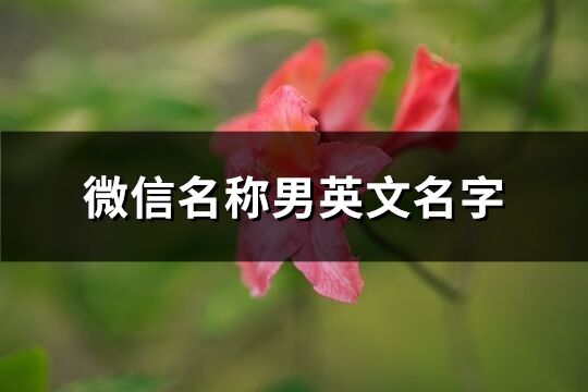 微信名稱男英文名字(共113個)