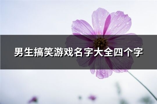 男生搞笑游戲名字大全四個字(573個)