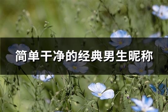 簡單干凈的經典男生昵稱(共985個)