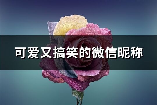 可愛又搞笑的微信昵稱(113個)