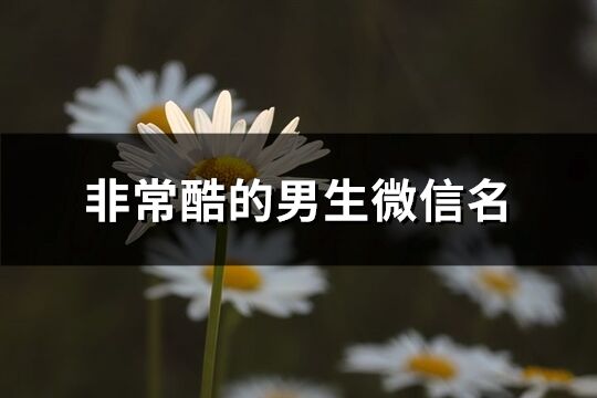 非常酷的男生微信名(優選382個)