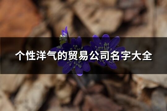 個性洋氣的貿易公司名字大全(優選460個)