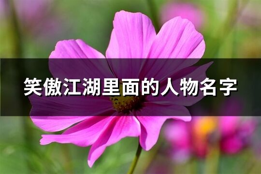 笑傲江湖里面的人物名字(66個)
