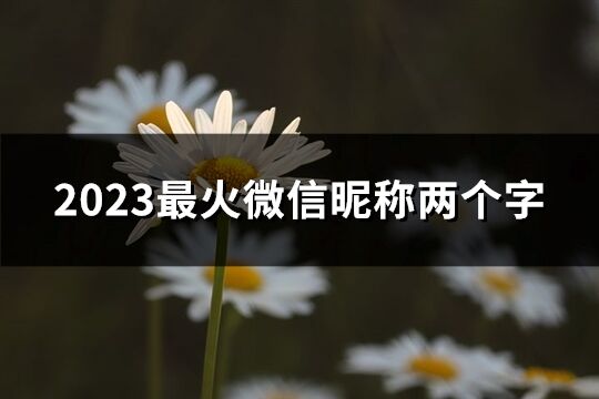 2023最火微信昵稱兩個字(765個)