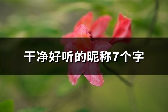 干凈好聽(tīng)的昵稱7個(gè)字(208個(gè))