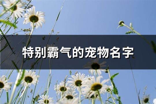 特別霸氣的寵物名字(66個)