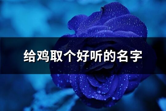 給雞取個好聽的名字(優選140個)