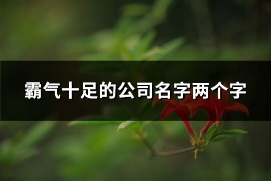 霸氣十足的公司名字兩個字(共238個)
