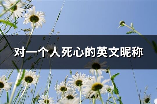 對一個人死心的英文昵稱(精選101個)