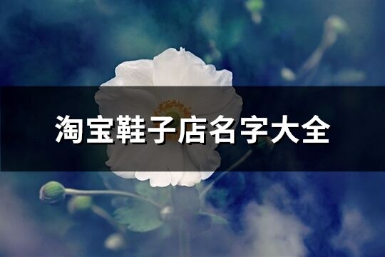 淘寶鞋子店名字大全(共65個)