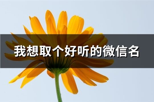 我想取個好聽的微信名(優(yōu)選823個)