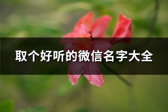 取個好聽的微信名字大全(優(yōu)選620個)