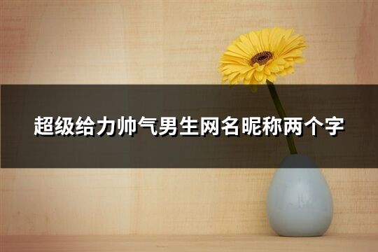 超級給力帥氣男生網(wǎng)名昵稱兩個字(共384個)