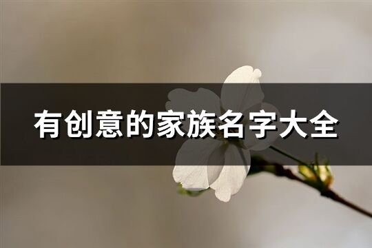 有創(chuàng)意的家族名字大全(255個)