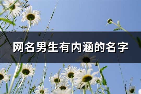 網(wǎng)名男生有內(nèi)涵的名字(精選219個)