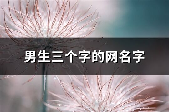男生三個字的網名字(210個)