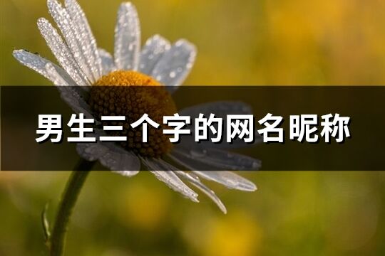 男生三個字的網名昵稱(175個)