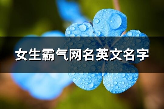 女生霸氣網名英文名字(共72個)