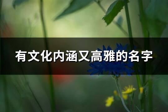 有文化內(nèi)涵又高雅的名字(共99個(gè))