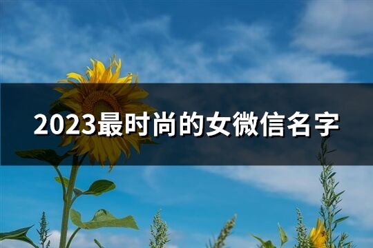 2023最時尚的女微信名字(優選2247個)