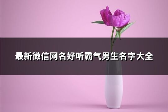 最新微信網名好聽霸氣男生名字大全(精選682個)