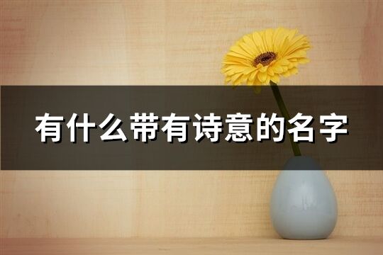 有什么帶有詩意的名字(667個)
