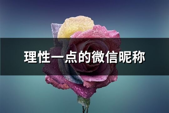 理性一點的微信昵稱(優選179個)