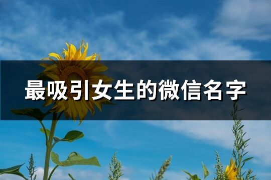 最吸引女生的微信名字(優選850個)