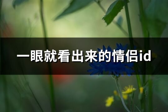 一眼就看出來的情侶id(共100個)