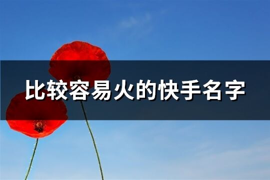 比較容易火的快手名字(共392個)